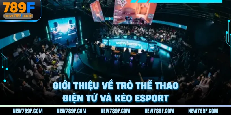 Giới thiệu về trò thể thao điện tử và kèo Esport