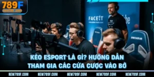 keo-esport-la-gi-huong-dan-tham-gia-cac-cua-cuoc-vao-bo