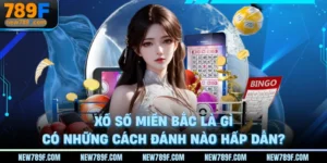 xo-so-mien-bac-hom-nay-789f